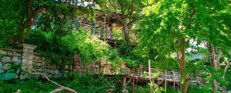 photo_2021-05-10_19-53-48