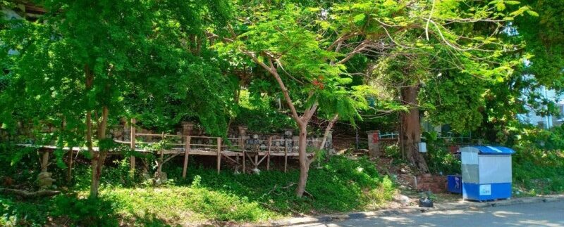 photo_2021-05-10_19-53-49 (3)