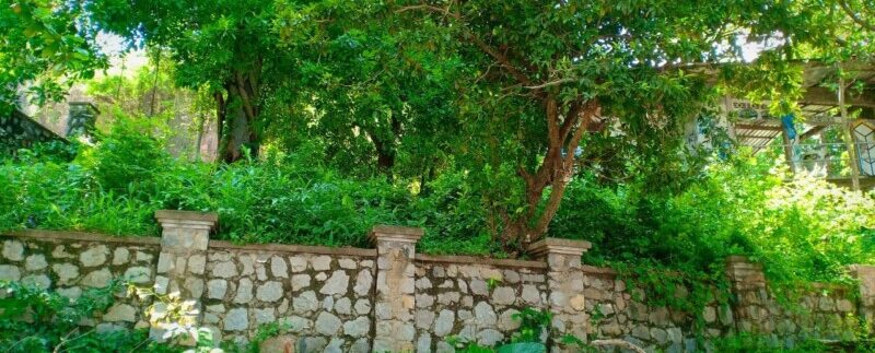 photo_2021-05-10_19-53-49