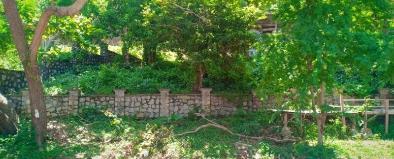 photo_2021-05-10_19-53-50