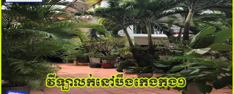 photo_2021-05-14_11-55-10