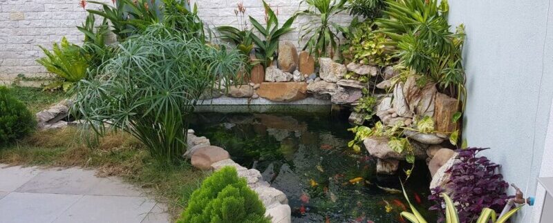 photo_2021-04-25_15-12-26