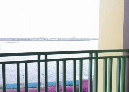 photo_2021-06-01_12-40-14