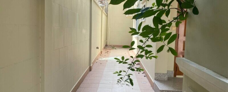 photo_2021-06-03_14-47-59