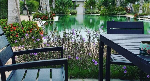 photo_2021-06-04_09-57-01