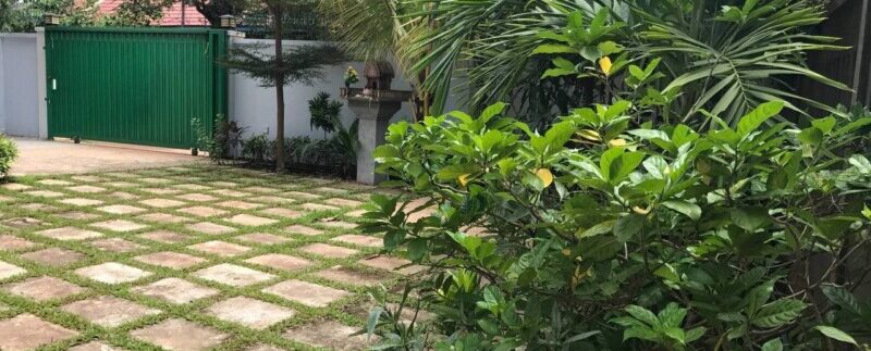 photo_2021-06-07_14-05-36