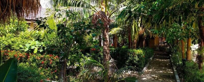 photo_2021-06-13_20-47-15