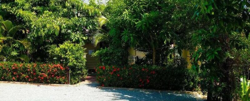 photo_2021-06-13_20-47-17