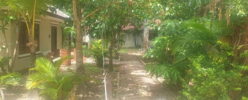 photo_2021-06-14_13-11-26