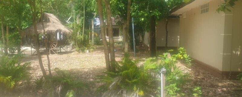 photo_2021-06-14_13-11-38