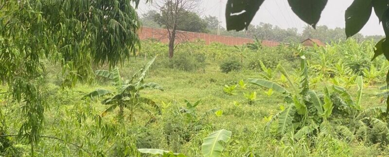 photo_2021-06-15_08-52-35