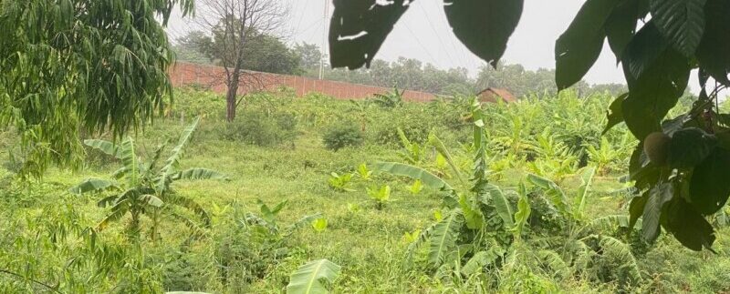 photo_2021-06-15_08-52-40