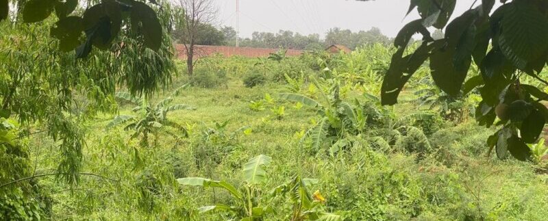 photo_2021-06-15_08-52-43