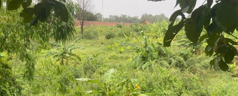 photo_2021-06-15_08-52-45