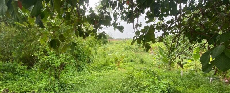 photo_2021-06-15_08-52-47