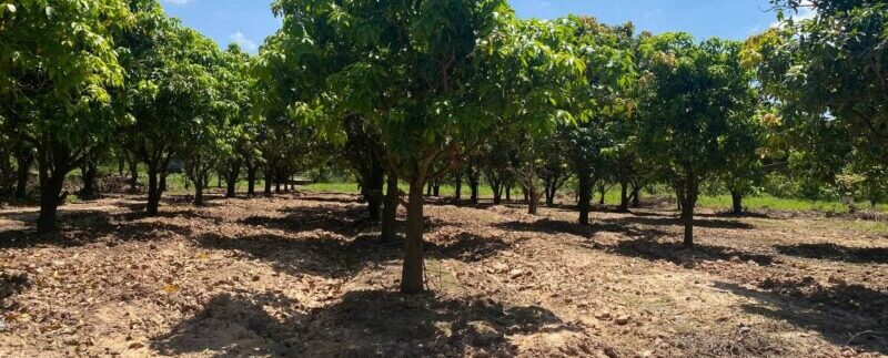 photo_2021-06-21_11-29-25