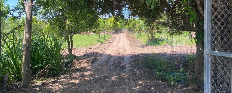 photo_2021-06-21_11-29-27