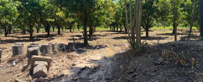 photo_2021-06-21_11-29-34