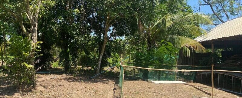 photo_2021-06-21_11-29-39