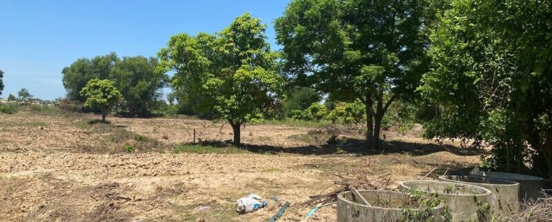 photo_2021-06-21_11-29-43