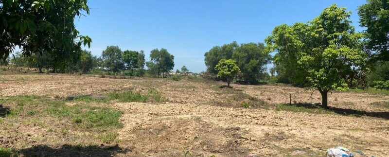 photo_2021-06-21_11-29-45