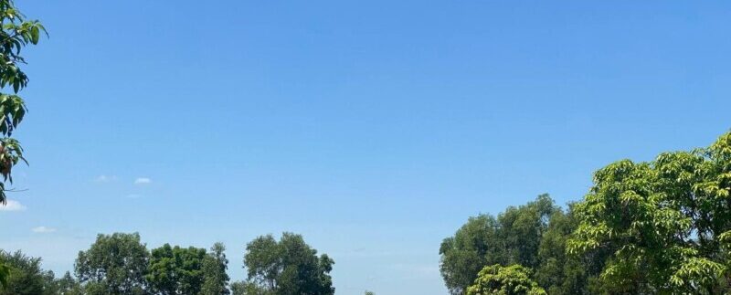 photo_2021-06-21_11-29-49