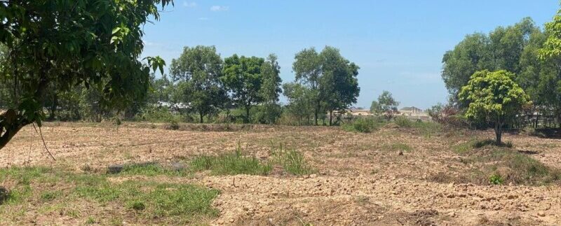 photo_2021-06-21_11-29-52