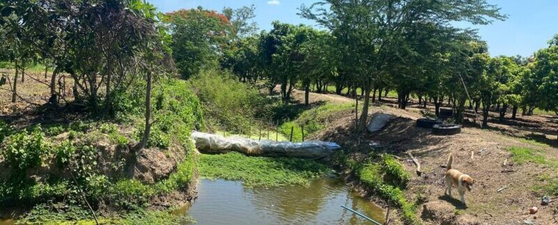 photo_2021-06-21_11-29-55