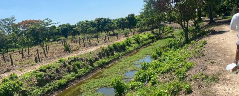 photo_2021-06-21_11-30-04