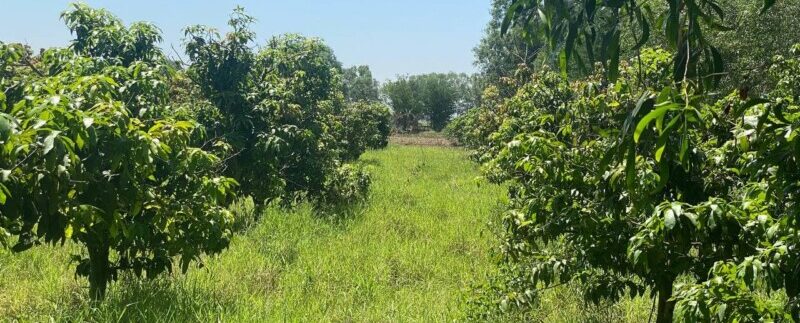 photo_2021-06-21_11-30-12