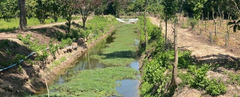 photo_2021-06-21_11-30-34