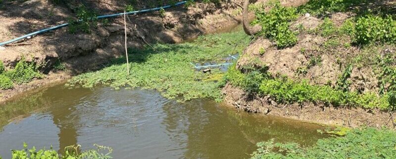 photo_2021-06-21_11-30-42