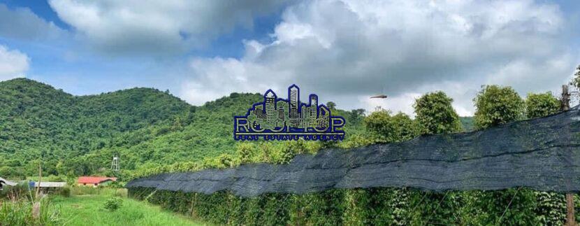 photo_2021-07-18_20-18-47