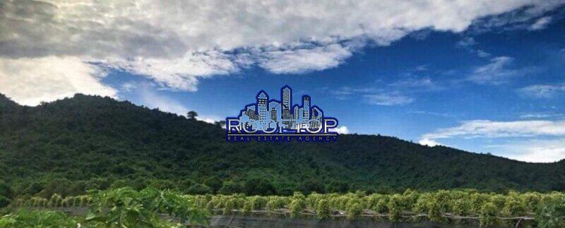 photo_2021-07-18_20-27-00