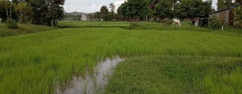 photo_2021-08-05_20-03-51