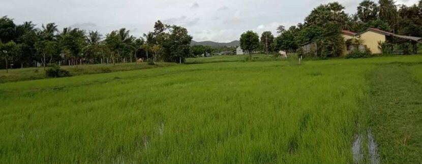 photo_2021-08-05_20-03-52