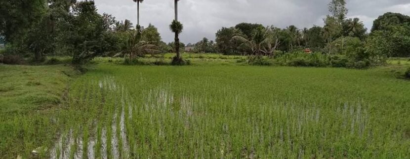 photo_2021-08-05_20-03-53