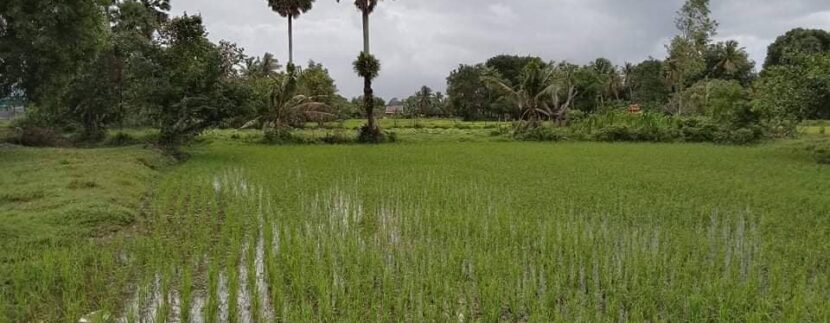 photo_2021-08-05_20-03-54 (2)