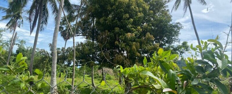 photo_2021-09-01_09-42-36