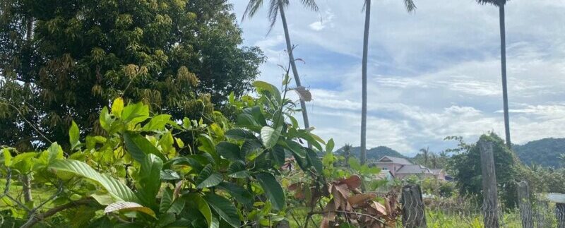 photo_2021-09-01_09-42-38