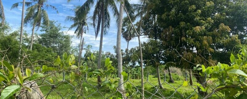 photo_2021-09-01_09-42-40