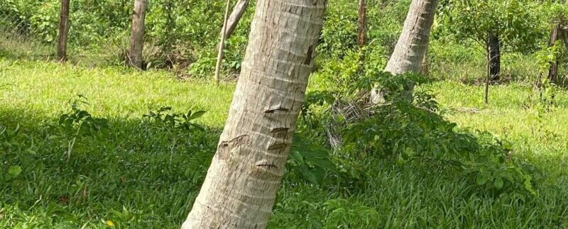 photo_2021-09-01_09-42-46