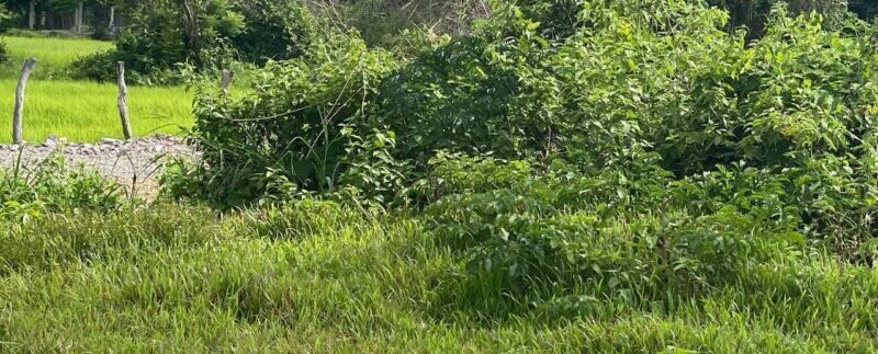 photo_2021-09-01_09-42-50