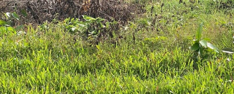 photo_2021-09-01_09-42-52