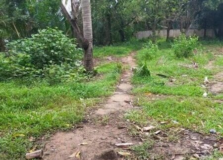 photo_2021-09-01_09-48-08