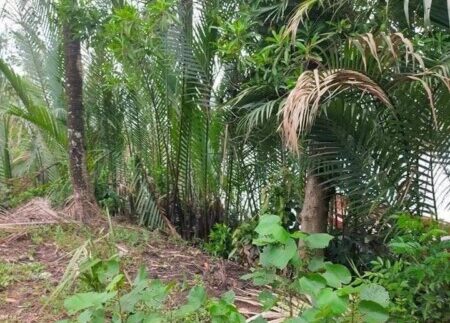 photo_2021-09-01_09-48-19