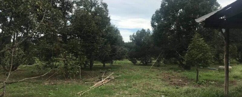 photo_2021-09-01_09-53-19