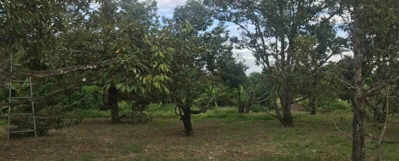 photo_2021-09-01_09-53-21