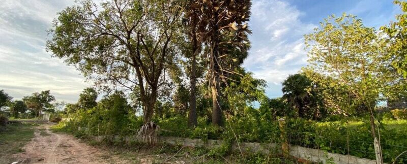 photo_2021-09-05_18-05-03