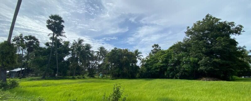 photo_2021-09-06_10-48-06